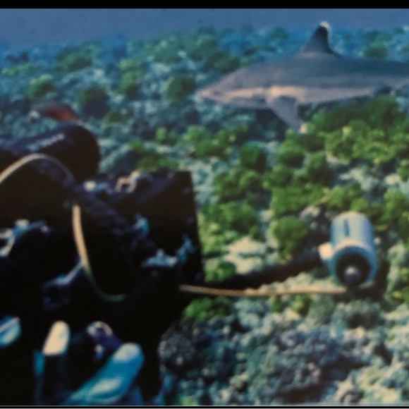 IMAX Theaters High definition 3-D Blu-Ray Sharks 2005 DVD 
Excellent condition - Picture 6 of 6